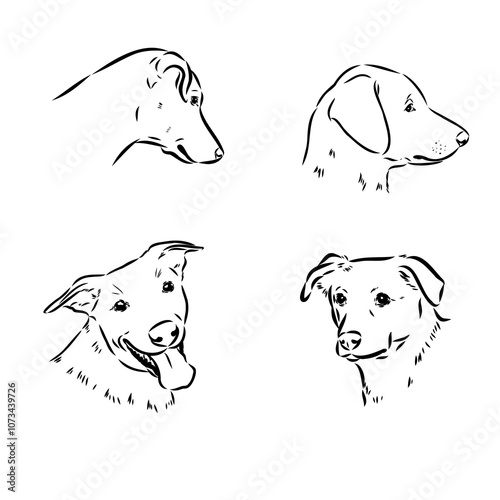 austrian pinscher vector sketch illustration