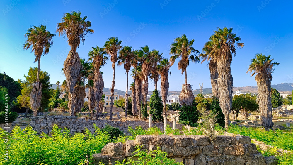 Kos Ancient Agora