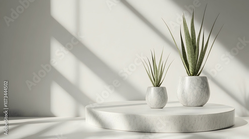 Two potted plants on a white round platform in a minimal, white setting with sun shining through the window.