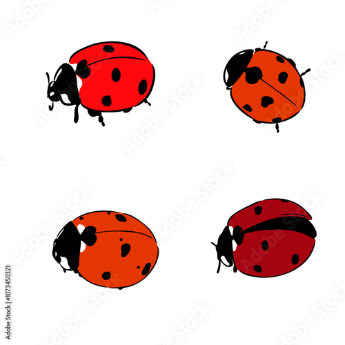 Cute ladybug cartoon character outline