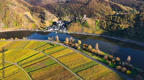 Aerial drone view of autumn vineyard terraces. Mosel Valley wine region Germany Balstein. High quality 4k footage photo