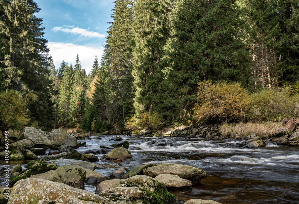 Vydra river in the kasper mountains during the autumn season Vydra river in the kasper mountains during the autumn season