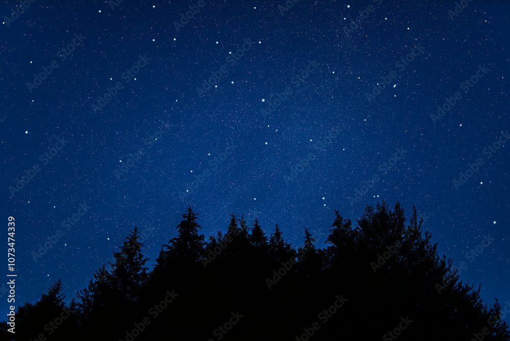 Starry sky. Night scape with beautiful starry sky