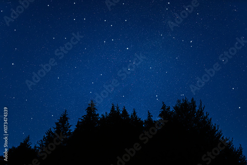 Obraz na płótnie Starry sky. Night scape with beautiful starry sky w salonie