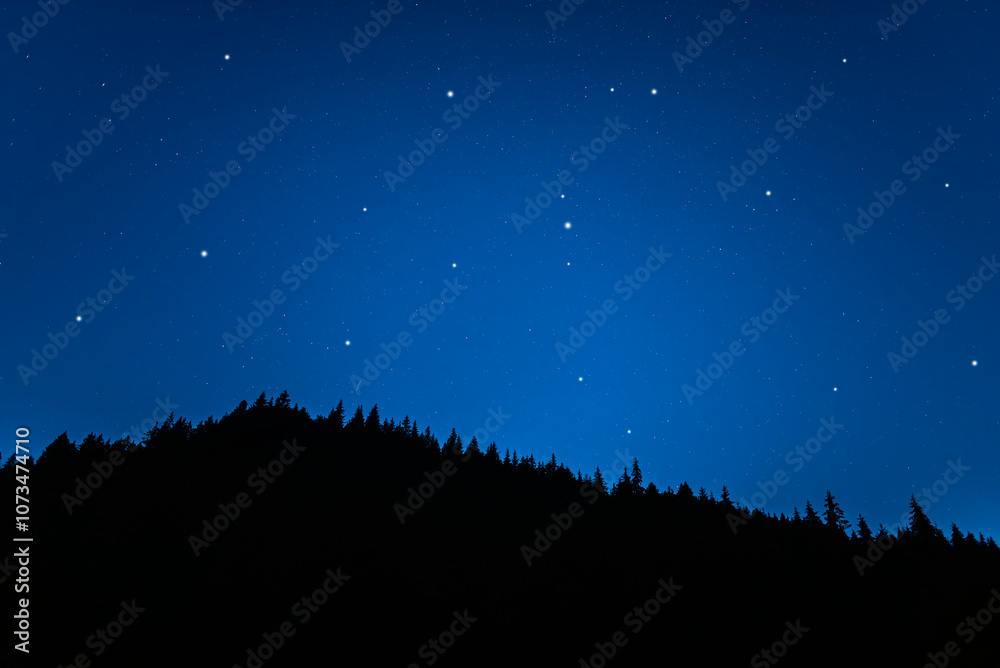 Starry sky. Night scape with beautiful starry sky