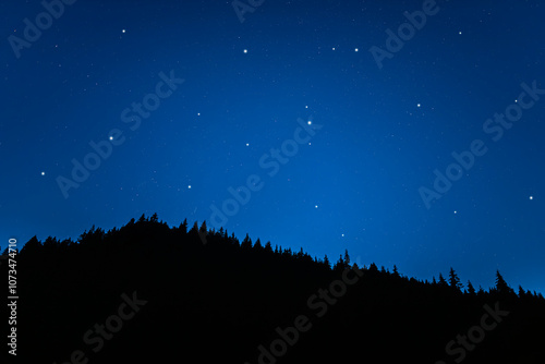 Obraz na płótnie Starry sky. Night scape with beautiful starry sky w salonie