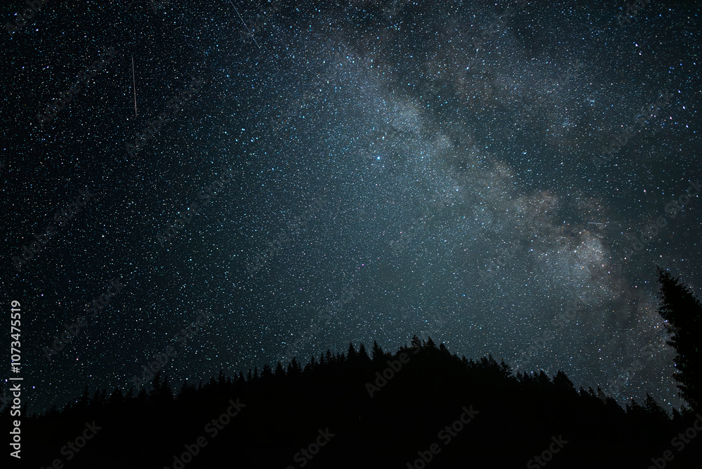 Starry sky. Night scape with beautiful starry sky