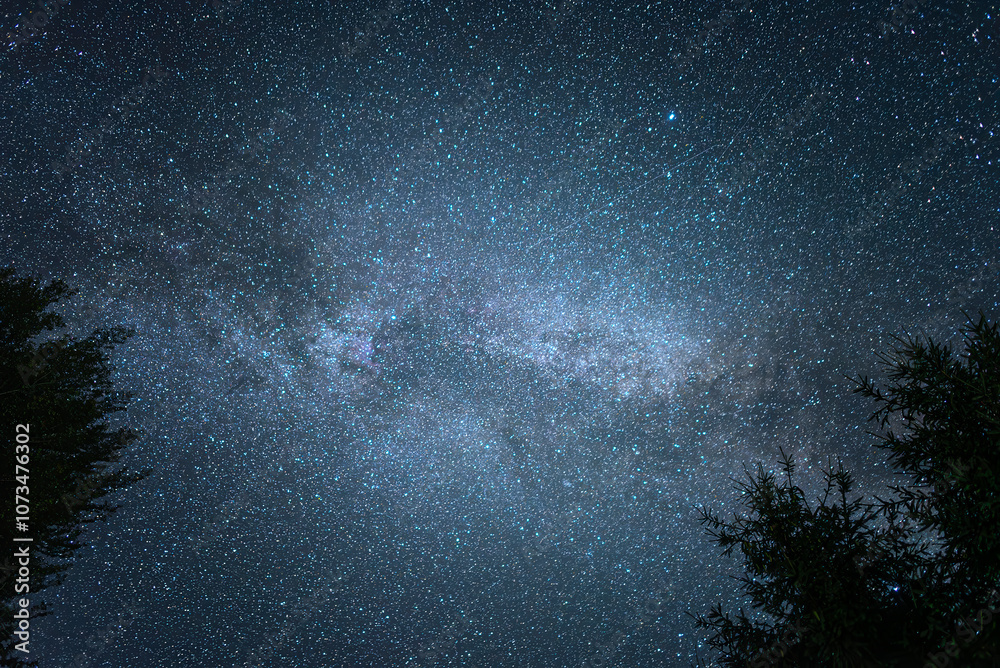 Starry sky. Night scape with beautiful starry sky