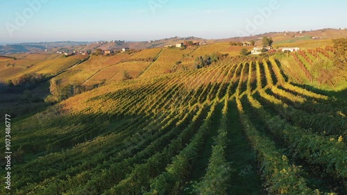 Monferrato, hills and vineyards along Monferrato, Piemonte, Italy