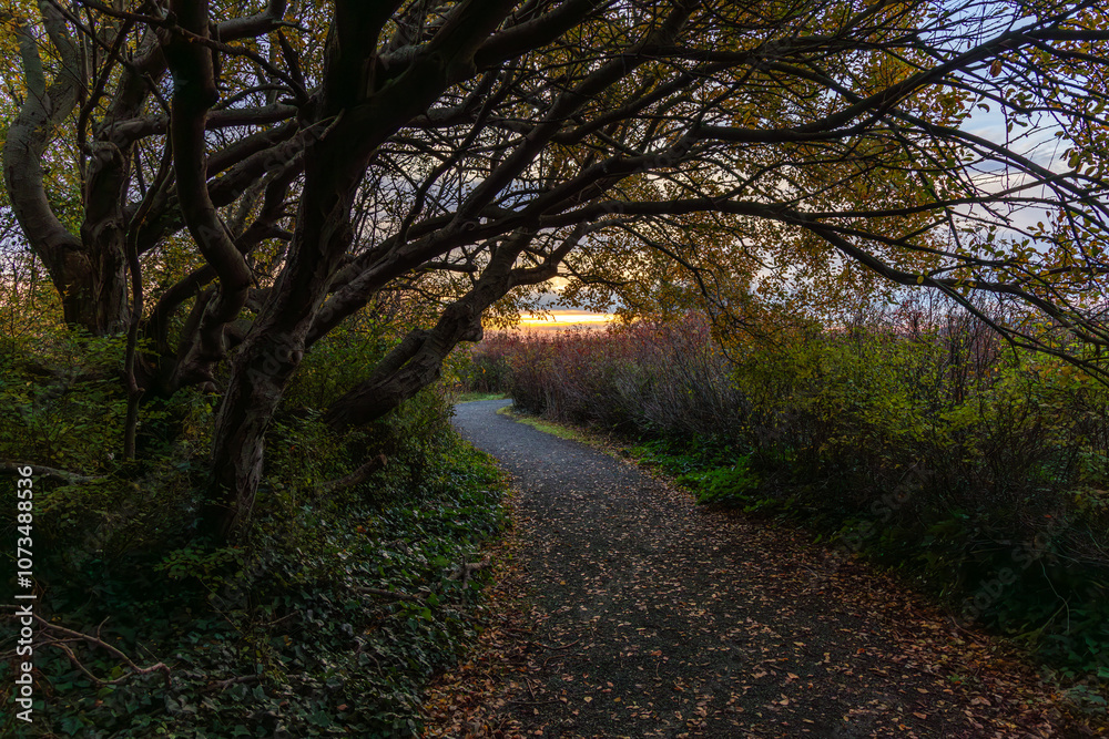 Naklejka premium Serene Sunrise View From Victoria Pathway on Vancouver Island