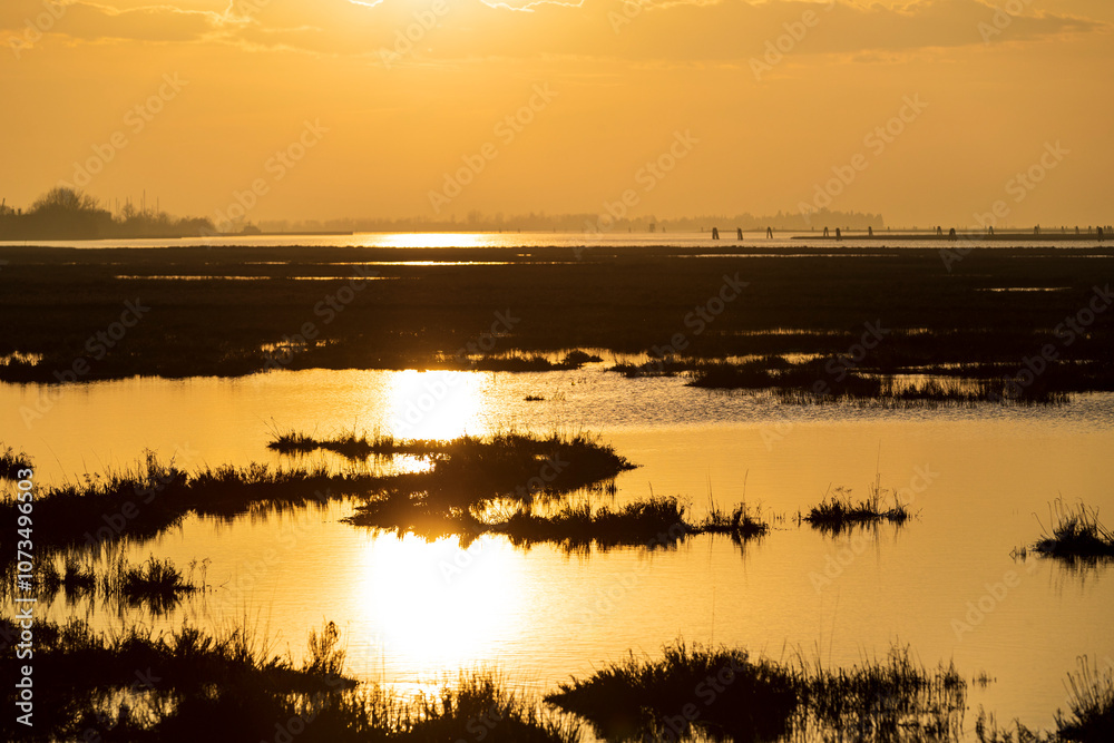 Venice lagoon