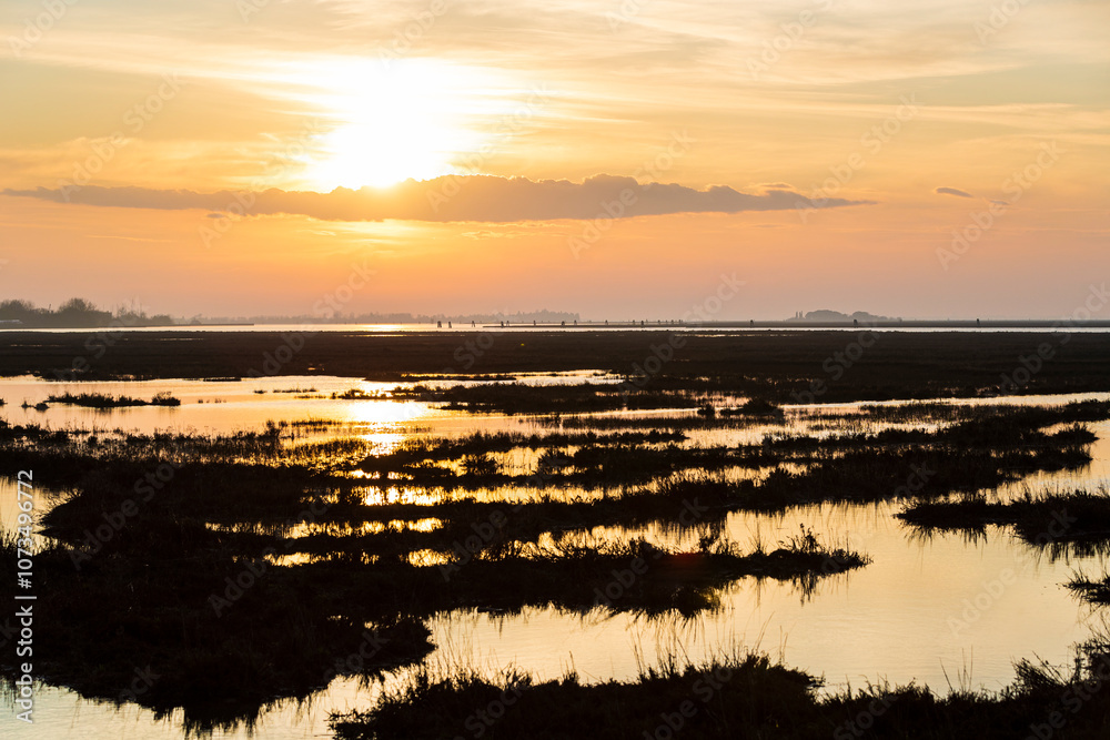 Venice lagoon
