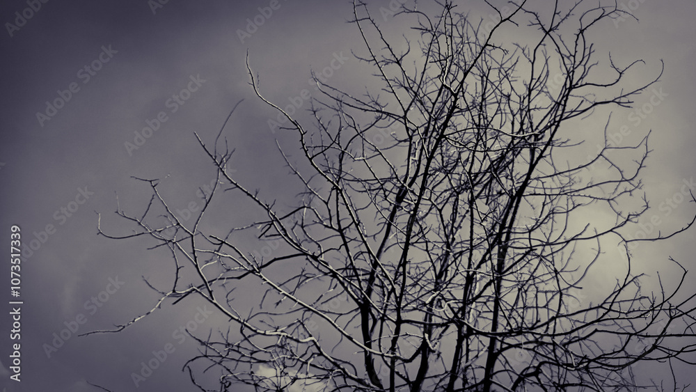Αυτοκόλλητο lifeless tree dead tree Refers to loneliness, sadness, disappointment