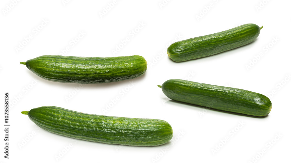 Cucumber isolated on white background. Cucumber isolated on white background.