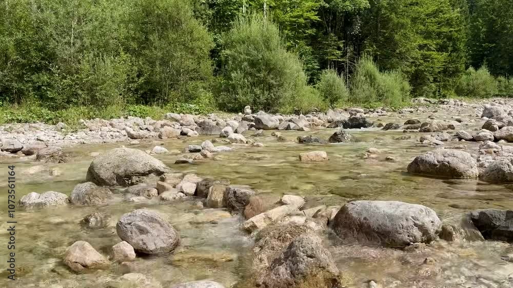 Pollat river in the forest, Germany Pollat river in the forest, Germany