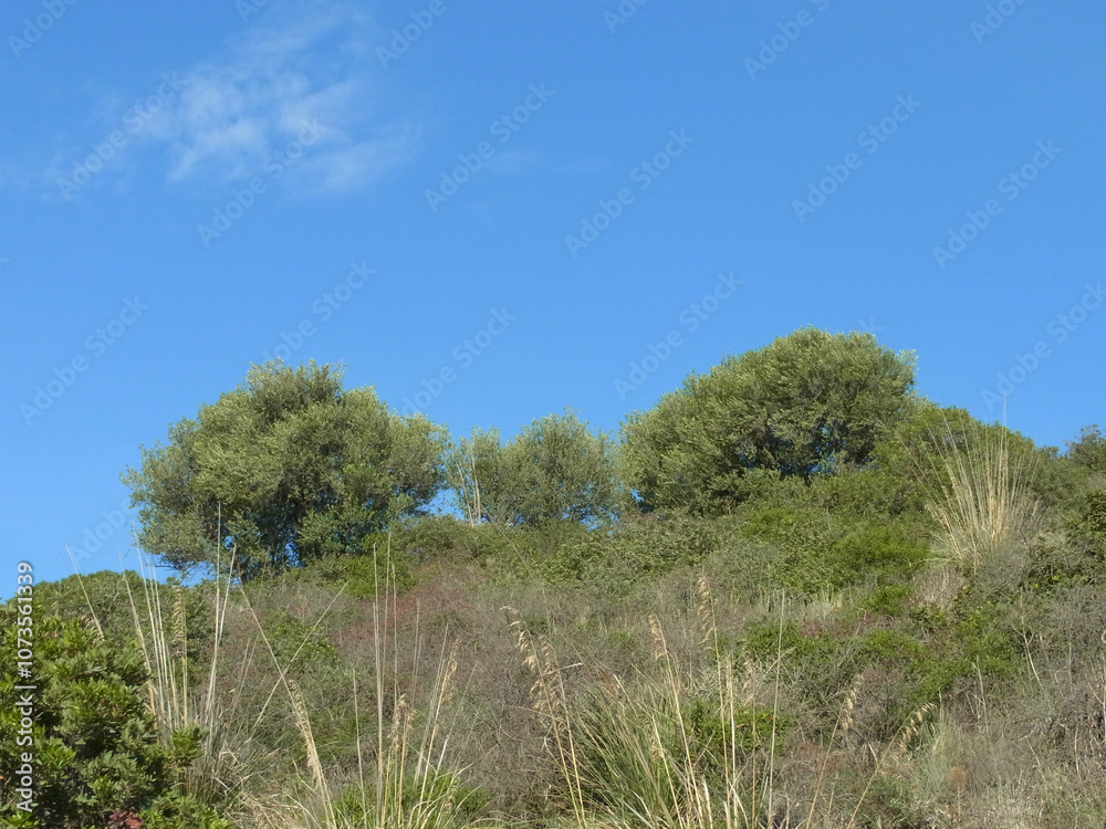 Obraz premium Panorama