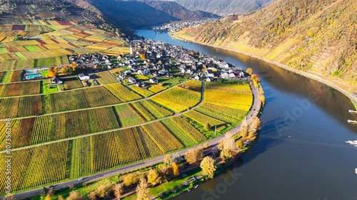 Aerial drone view of autumn vineyard terraces. Mosel Valley wine region Germany Balstein. High quality 4k footage photo