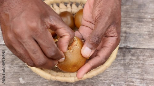 Ripe wild fruits of the African medlar tree (Vangueria infausta) locally known as mpfilwa, umviyo or umtulwa photo