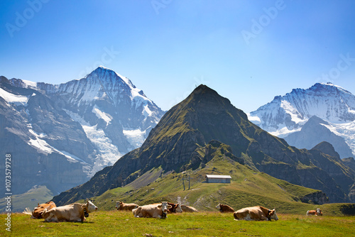 Jungfrau region