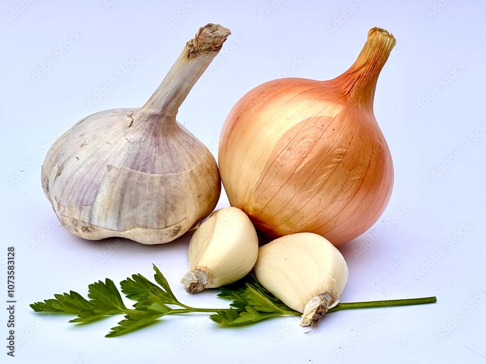 Fototapeta premium garlic and onion