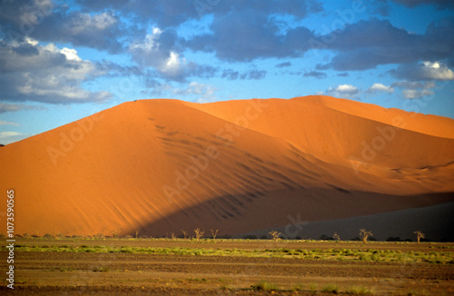 Dunes du Namibe, parc national, Namibie photo
