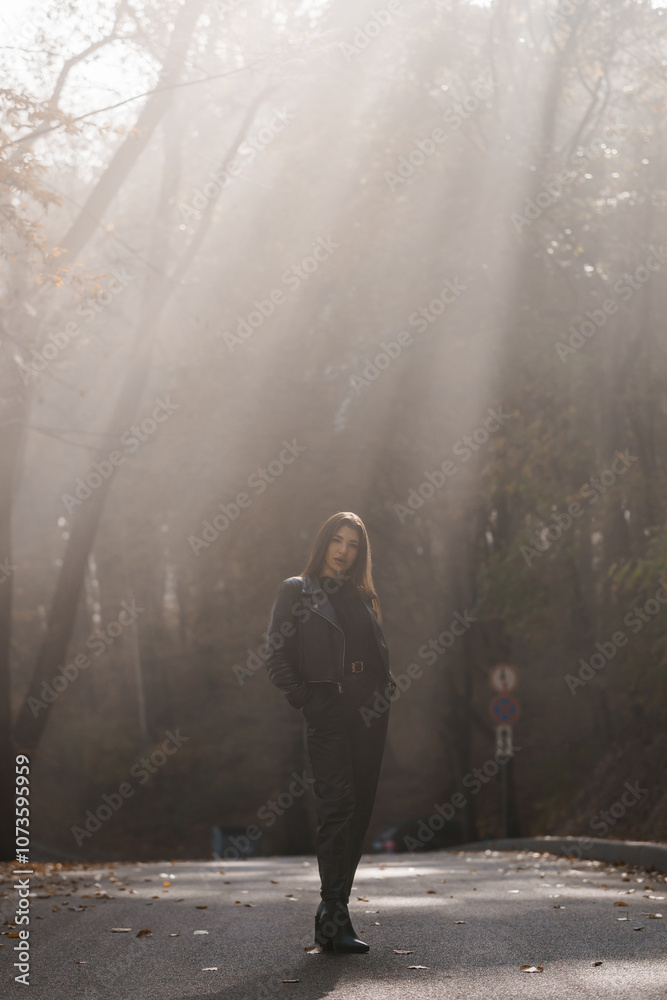 Captivating Solemnity in a Sunlit Forest Path Captivating Solemnity in a Sunlit Forest Path