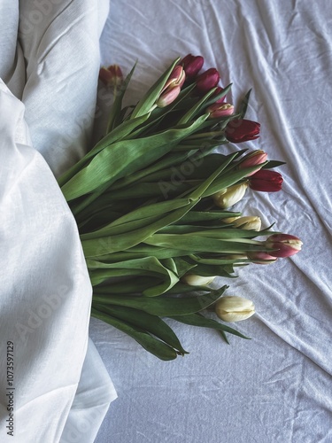 Intimate Floral Portrait of a Tulip in Bloom