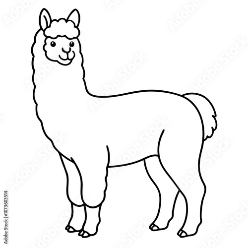 Alpaca Line Art Illustration.