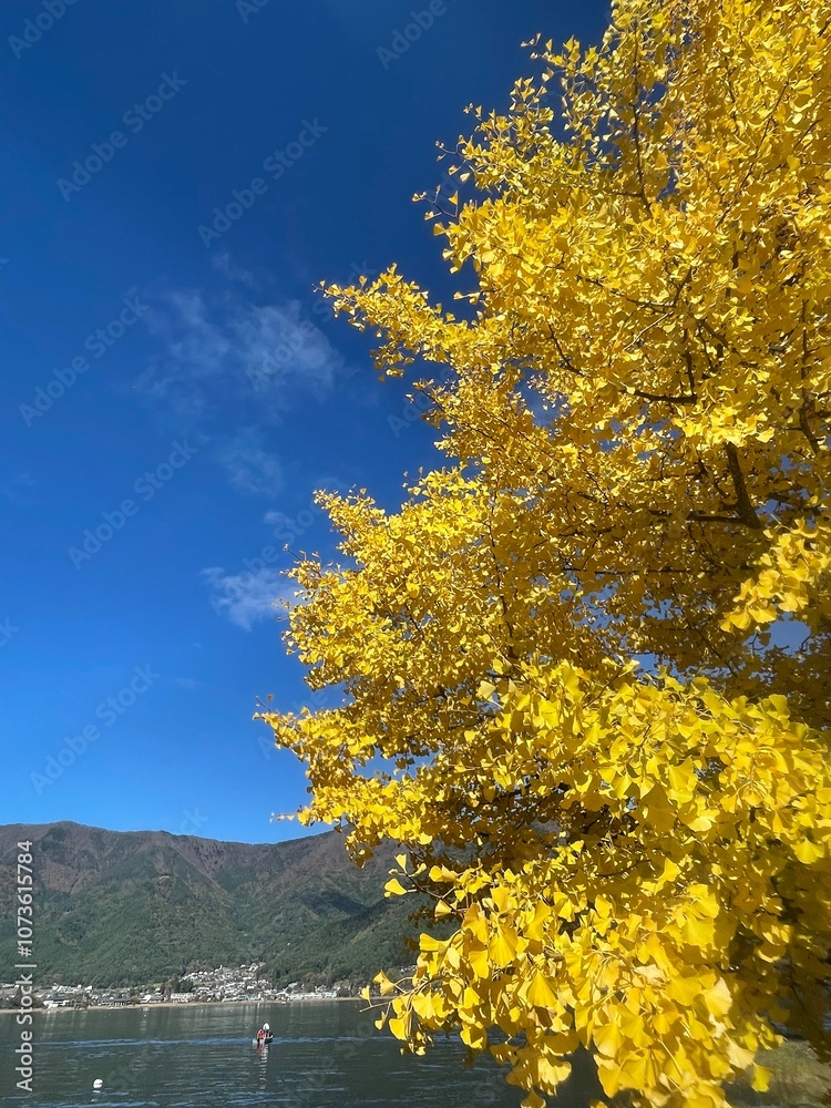 Fototapeta premium The trees leaves on the mountains were starting to change color 