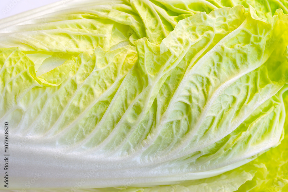 Fresh Chinese cabbage, Close up shot Fresh Chinese cabbage, Close up shot
