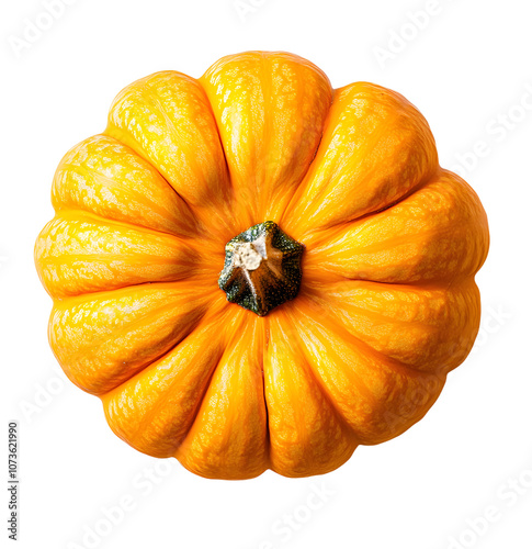 Wallpaper Mural PNG Photo of a single pumpkin top view on the white background Torontodigital.ca