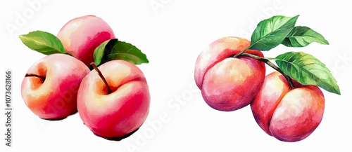 Watercolor set of pink peaches png. Juicy pink peaches with leaves from the tree on a transparent background. Watercolor fruits. Vector illustration.