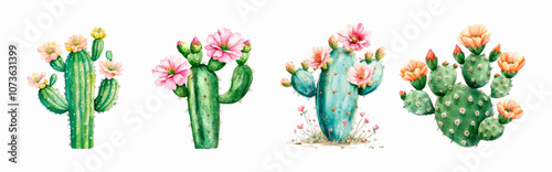 A set of watercolor cacti png. Multicolored prickly cacti with watercolor flowers. Mexican flowering cacti on a transparent background.