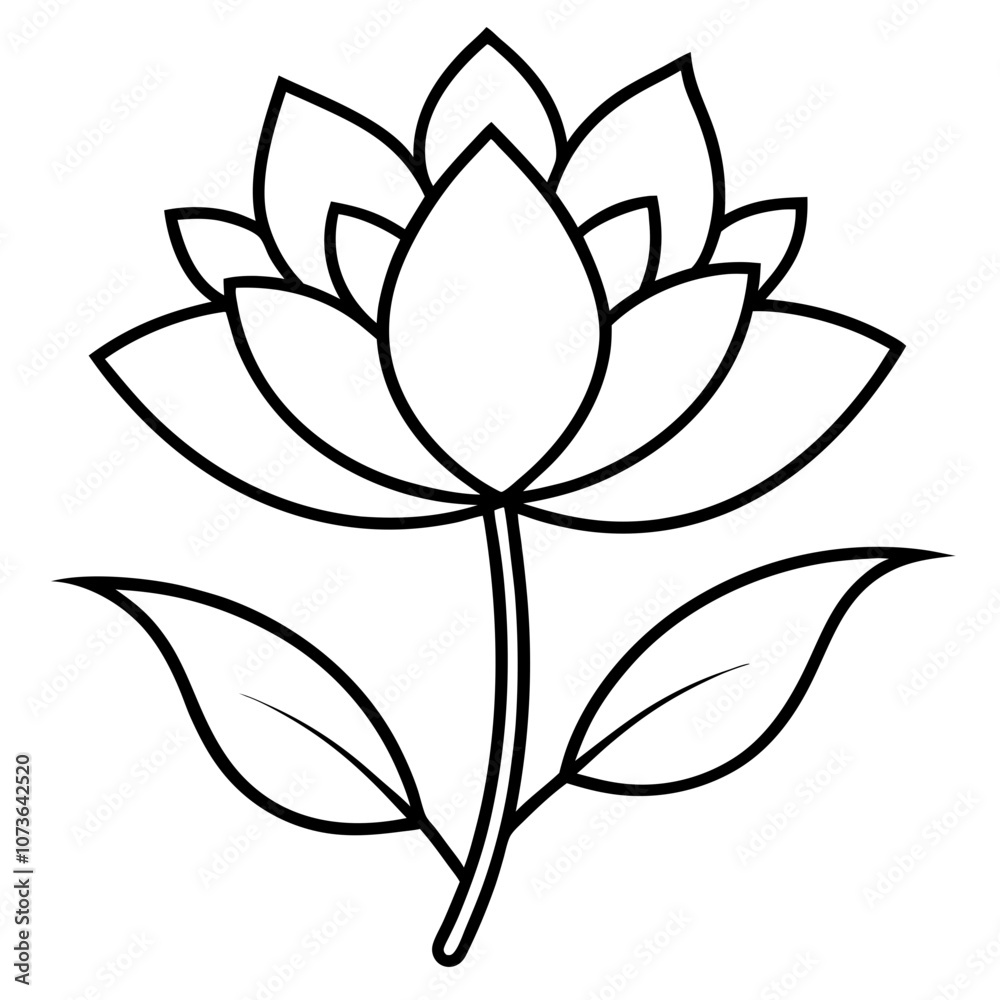 Fototapeta premium black and white flower