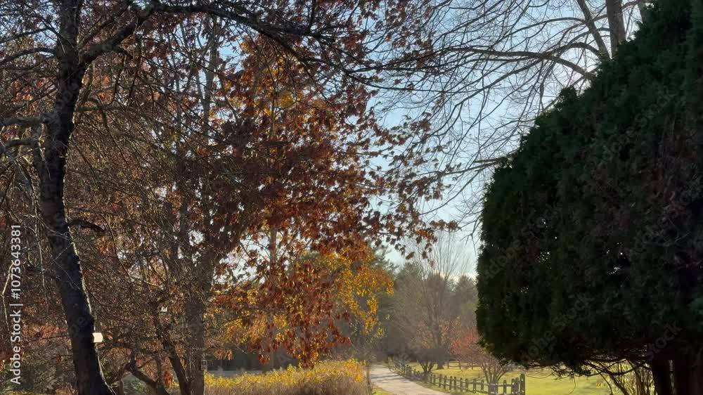 Idyllic Autumn Country Road & Fence Scene