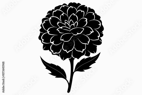 silhouette of marigold flower vector illustration,Cute rounded marigold flower silhouette vector illustration,marigold flower vector illustration,marigold silhouette icon white background.