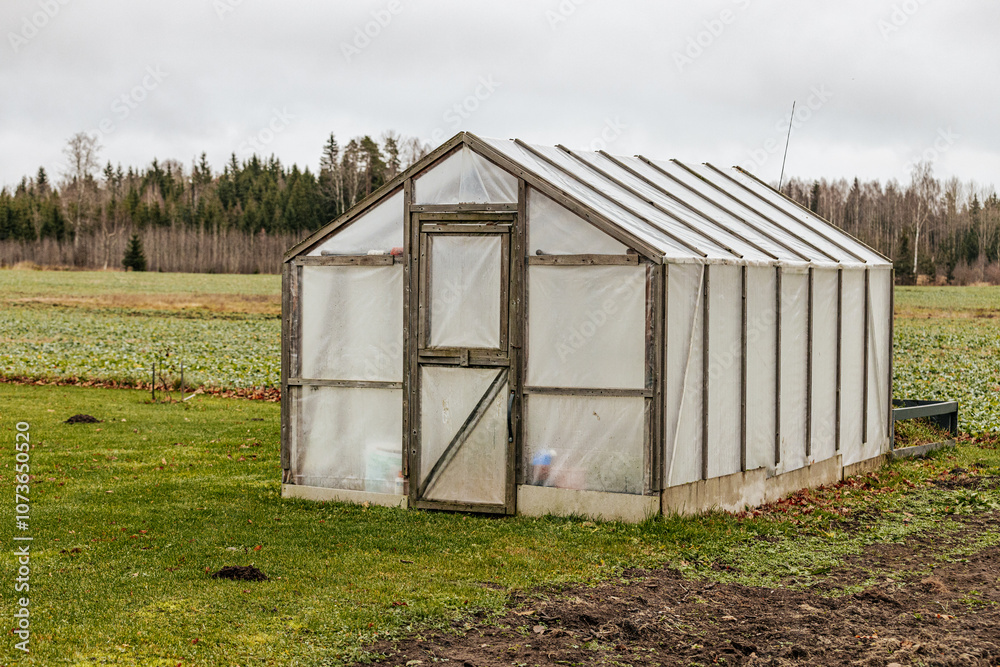 A small greenhouse with a wooden frame and transparent plastic covering, situated on a grassy area with a large crop field and bare trees in the background. Overcast sky. A small greenhouse with a wooden frame and transparent plastic covering, situated on a grassy area with a large crop field and bare trees in the background. Overcast sky.