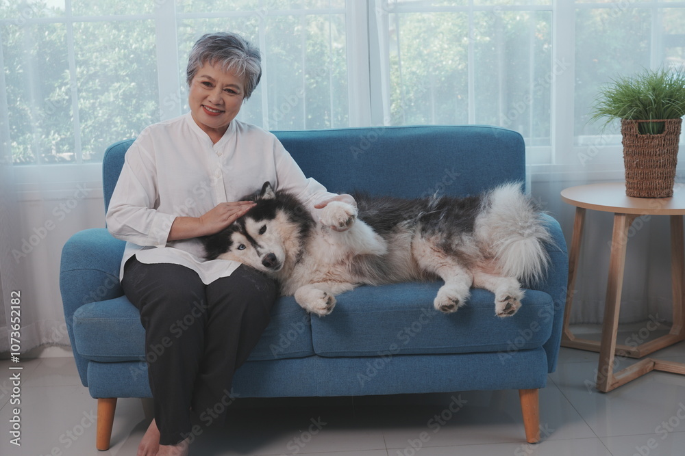 Senior Asian woman sitting on sofa relaxing with Siberian Husky playing with pet happy