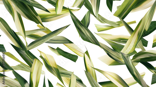 Green leaves on white isolate background