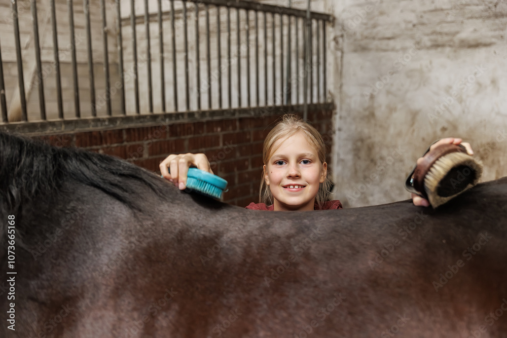 Naklejka premium Young little teenager kid girl cleaning grooming chestnut horse back hair brush tool horse at stable ranch. Horse ride school farm life. Cute little blond girl kid care brown horse. Equine hobby work