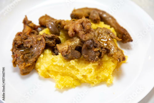 Traditional and rustic Brazilian dish, free-range chicken with polenta. Real food