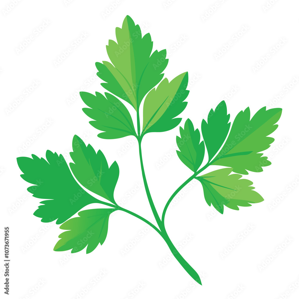 Naklejka premium parsley vector illustration in watercolor style