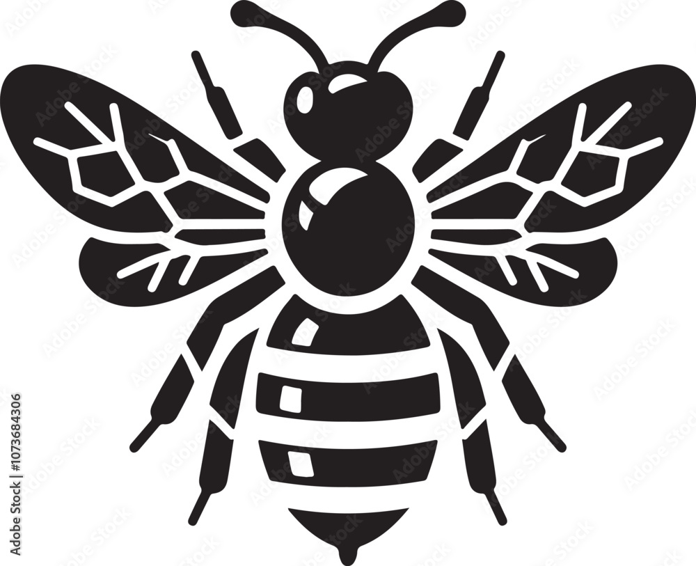 Fototapeta premium Bee Vector