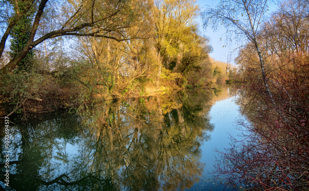 riparian forest with water course and trees in colorful autumnal colours with reflection on the smoot surface of the water in Tulln, Austria riparian forest with water course and trees in colorful autumnal colours with reflection on the smoot surface of the water in Tulln, Austria