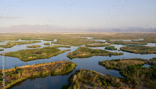 Mesopotamian Marshes with Lush Vegetation and Peaceful Waterways