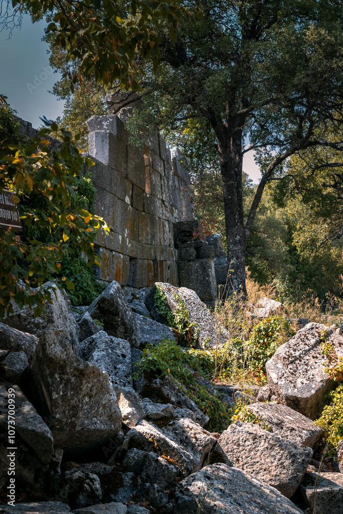 Ruins of the ancient city of Termessos in Turkey. Still unexplored by archaeologists. Ruins of the ancient city of Termessos in Turkey. Still unexplored by archaeologists.