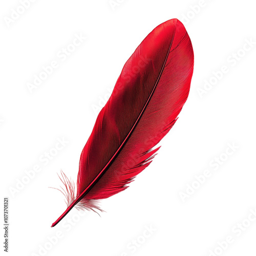 A single red feather, isolated on a white background. PNG transparent.