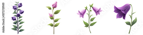 Stylized illustrations of purple bell flowers on a white isolated background. transparent background