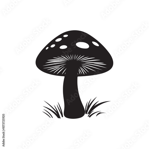 mushrooms on a white background