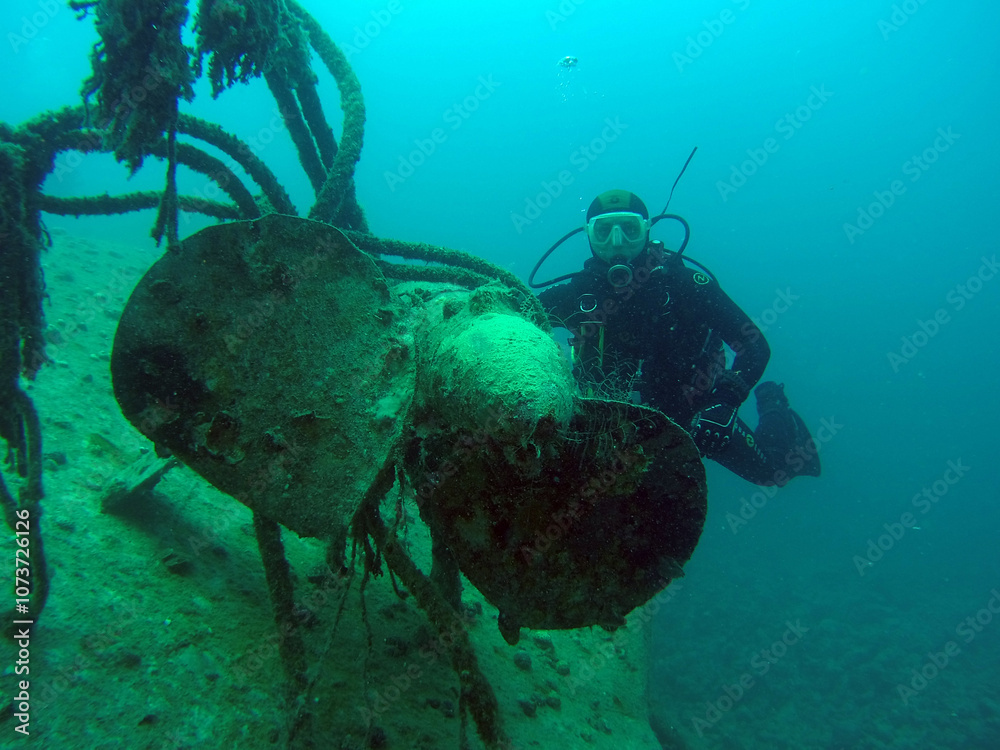 custom made wallpaper toronto digitalSport diving is a group of underwater sports disciplines. This is a fairly young direction of underwater sports, but sport diving disciplines are officially recognized in the world